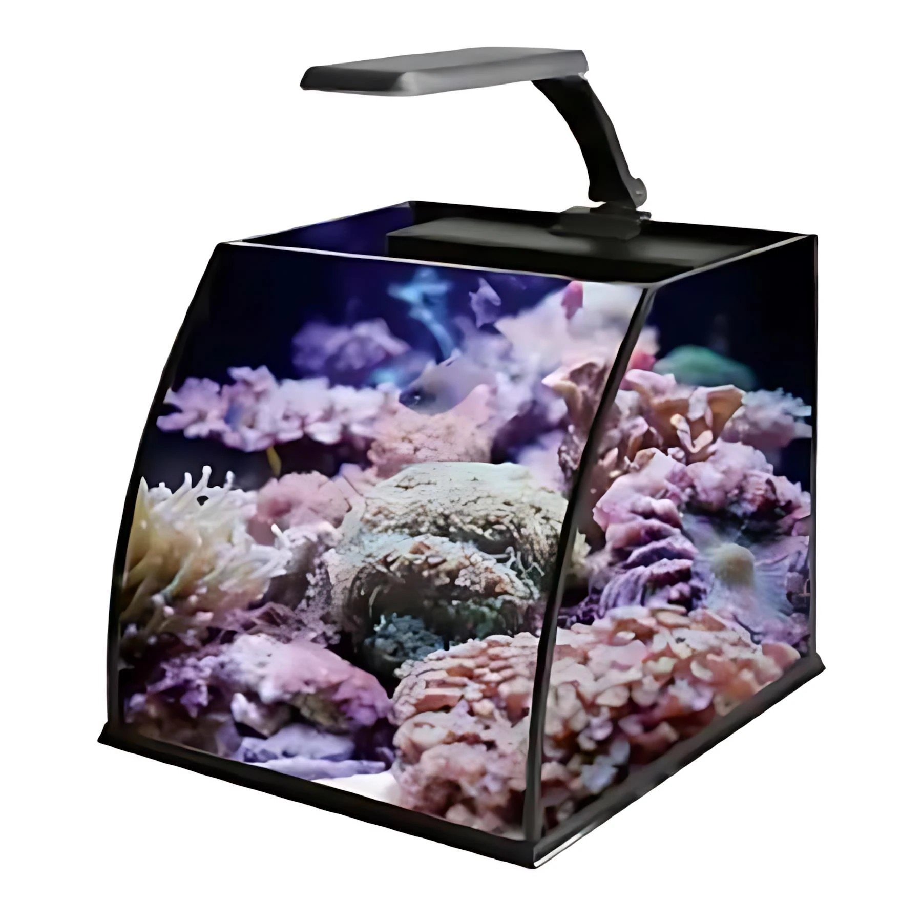 Haqos Belly Box 30 Ledli Nano Akvaryum 16Lt Siyah