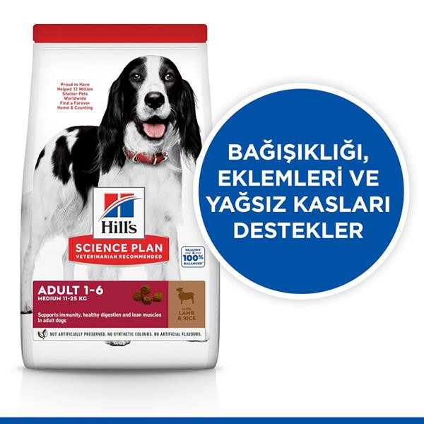 Hills Medium Adult Kuzu Etli Yetişkin Köpek Maması 12+2Kg Bonus Paket