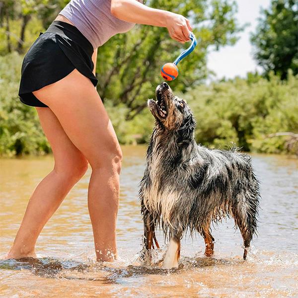 Chuckit Ultra Duo Tug Köpek Çekiştirme Oyun Topu Orta Boy 2li