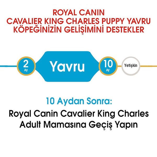 Royal Canin Puppy Cavalier King Charles Yavru Köpek Maması 1,5Kg