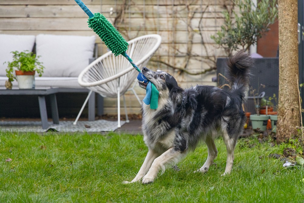 Beeztees Köpek Oyuncağı, Tut Getir Tenis Toplu, Peluş, Mavi-Yeşil, 90x10x6cm