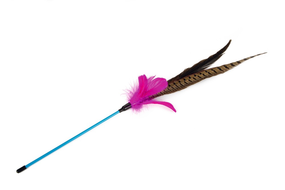 Beeztees Kedi Oltası, Ucu Tüylü-10cm, 30cm