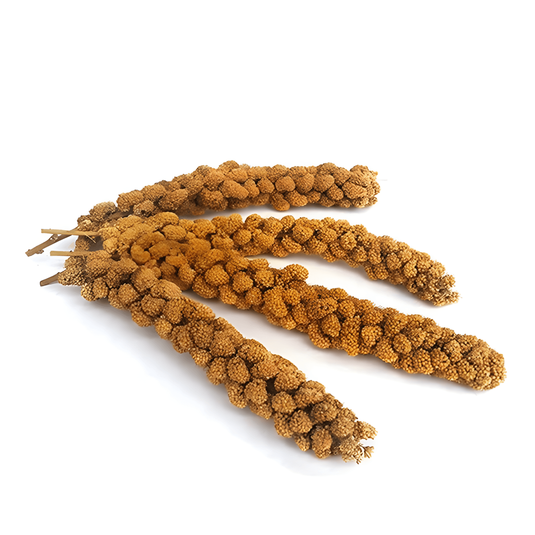 Quik Doğal Dal Darı 120gr 5li Paket
