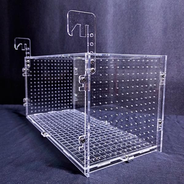 Şeffaf Plexi Yavruluk 20x15x15 Cm