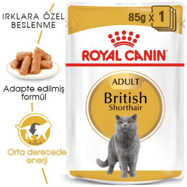 Royal Canin British Shorthair Adult Yetişkin Yaş Kedi Maması 85gr