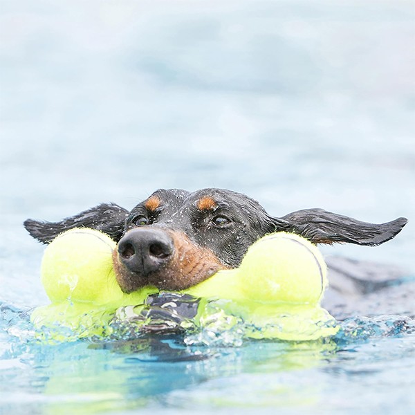 Kong Köpek Air Sq Sesli Oyuncak Kemik S 11,5cm