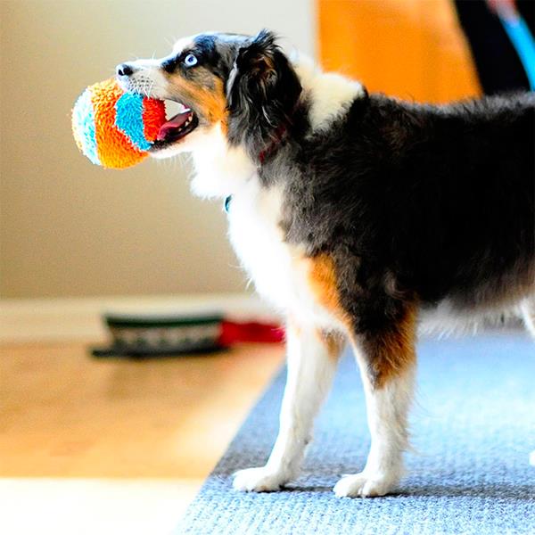 Chuckit Indoor Ball Ev İçi Yumuşak Köpek Oyun Topu
