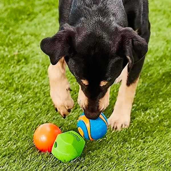 Chuckit Fetch Medley Gen 2 Köpek Oyun Topu Orta Boy 3lü