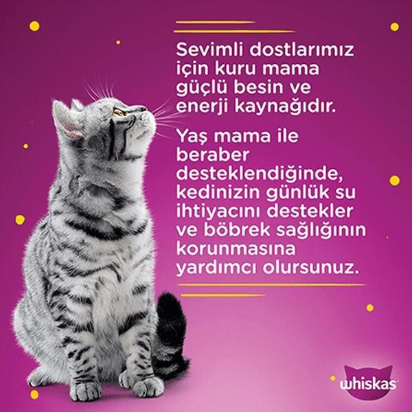 Whiskas Sos İçinde Tavuklu Yetişkin Kedi Konservesi 400gr