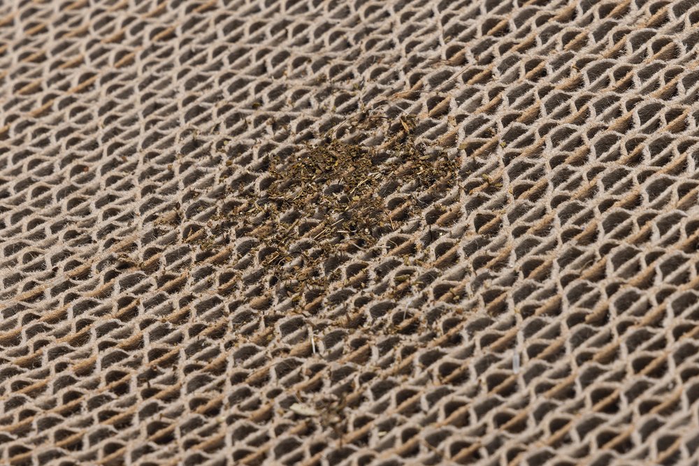 Beeztees Kedi Karton Tırmalama ve Kediotu, 52x21x10cm