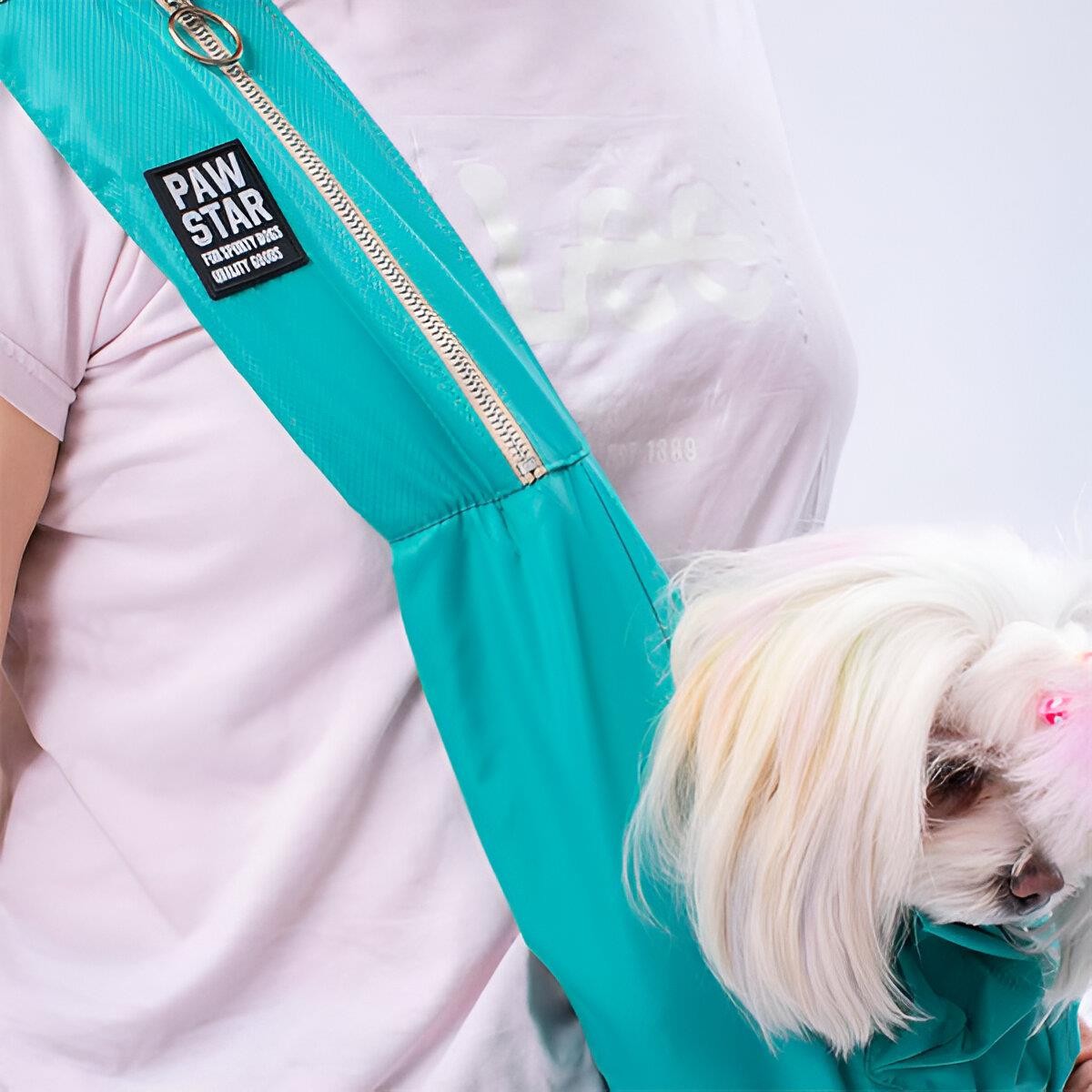Pawstar Crossbody Kedi Köpek Taşıma Çantası Mint