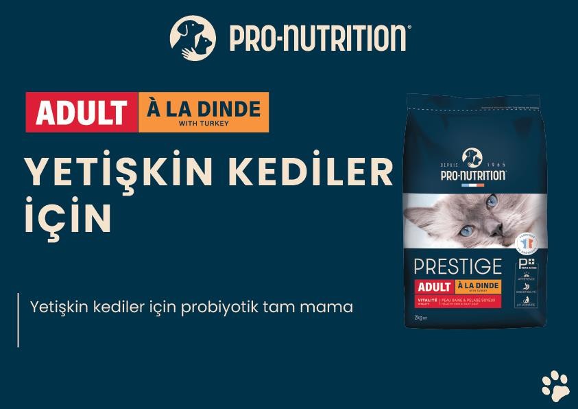 Pro Nutrition Adult Yetişkin Hindili Kedi Maması Paketten Bölme 1Kg