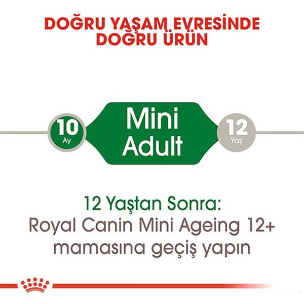 Royal Canin Mini Adult Küçük Irk Yetişkin Köpek Maması 85gr