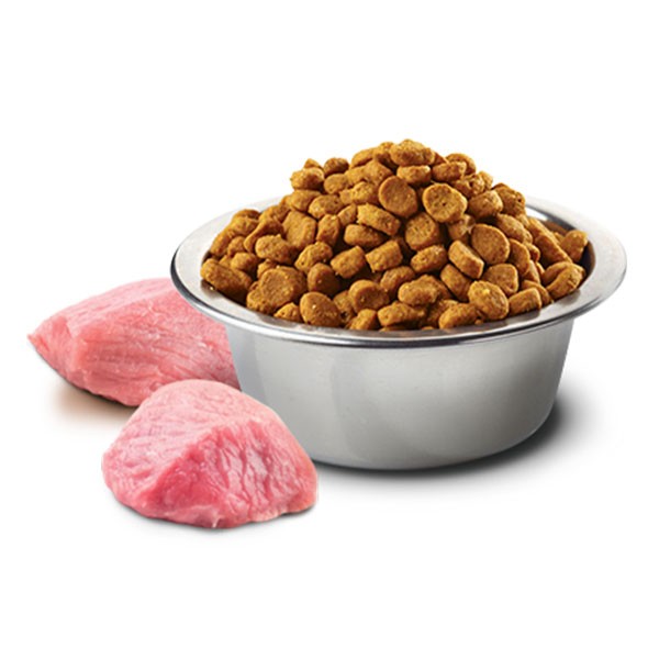 ND Tahılsız Tavuk Etli ve Narlı Yavru Kedi Maması 5 Kg