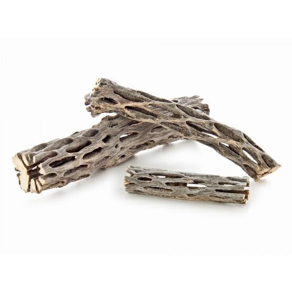 Cholla Wood Doğal Karides Kütüğü 10-13Cm