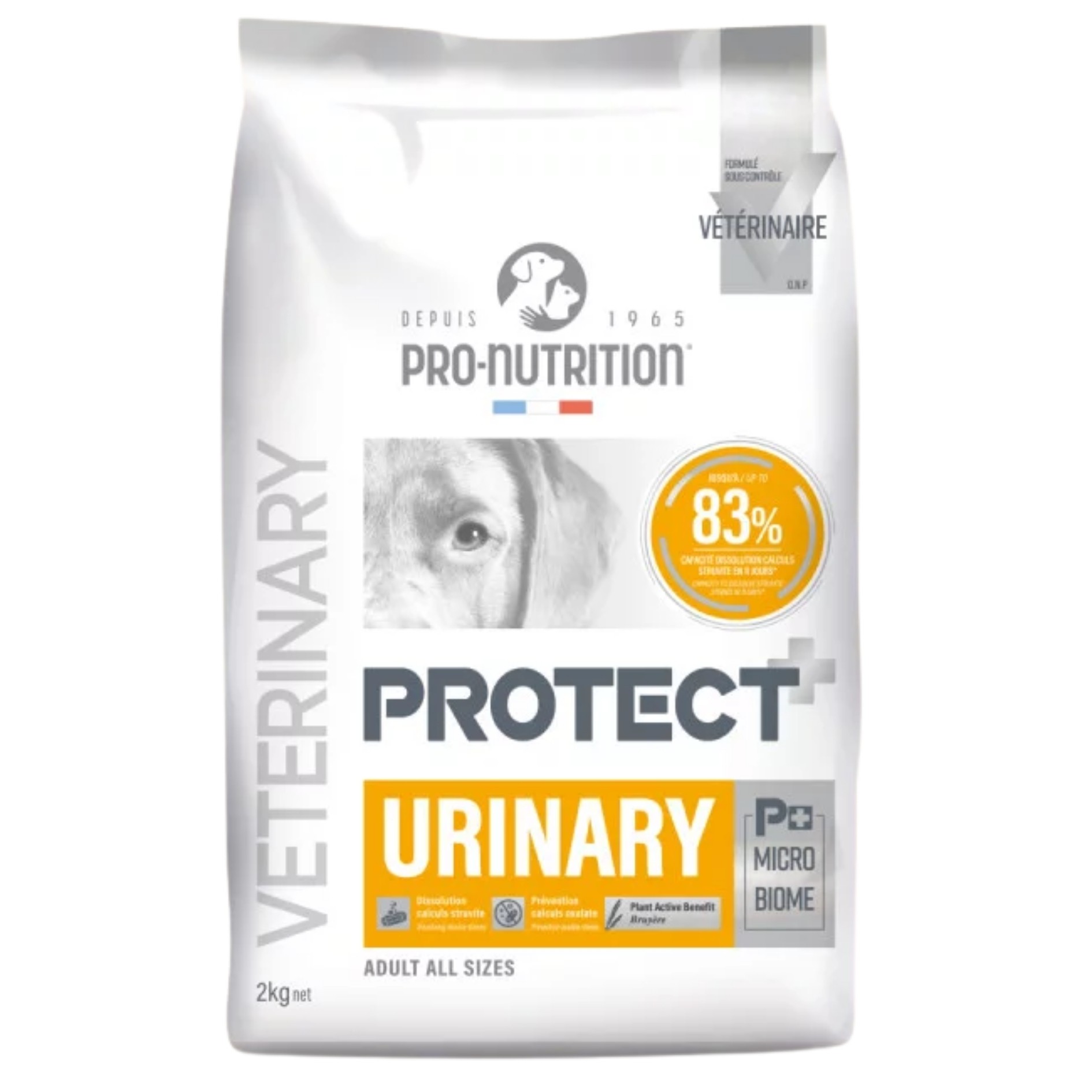 Pro Nutrition Protect Veterinary Urinary İdrar Yolu Sağlığı Destekleyici Köpek Maması 2kg