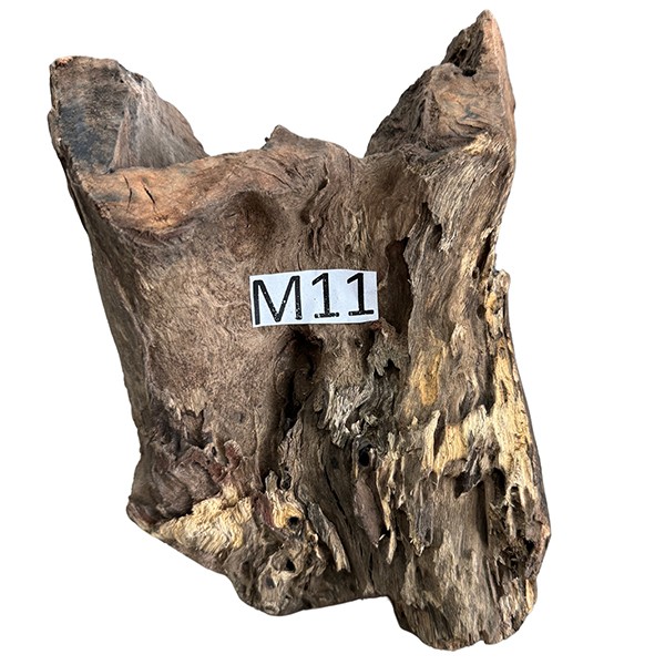 Medium 11