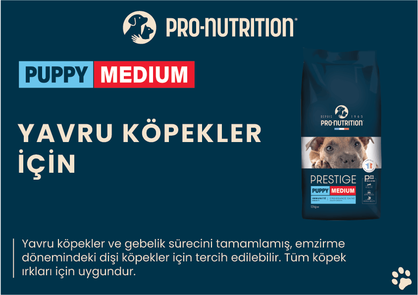 Pro Nutrition Prestige Puppy Medium Orta Irk Yavru Köpek Maması 12Kg