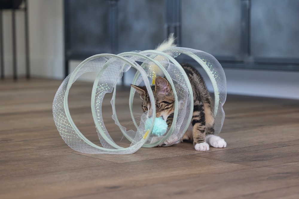 Beeztees Yavru Kedi Tüneli, Spiral Şeklinde, 60x25x25cm