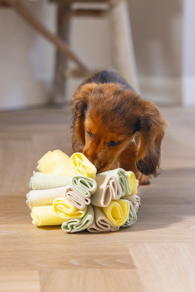Beeztees Köpek Ödül Saklama Oyuncağı, Top, Polar, Gri/Yeşil, 13cm