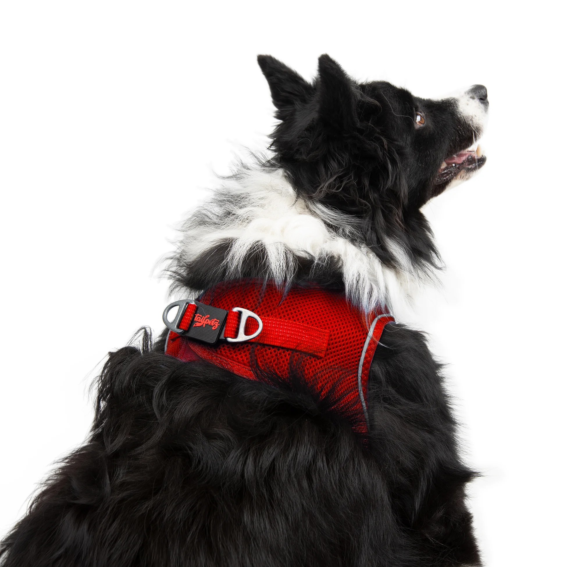 Tailpetz Air-Mesh Harness Red XL