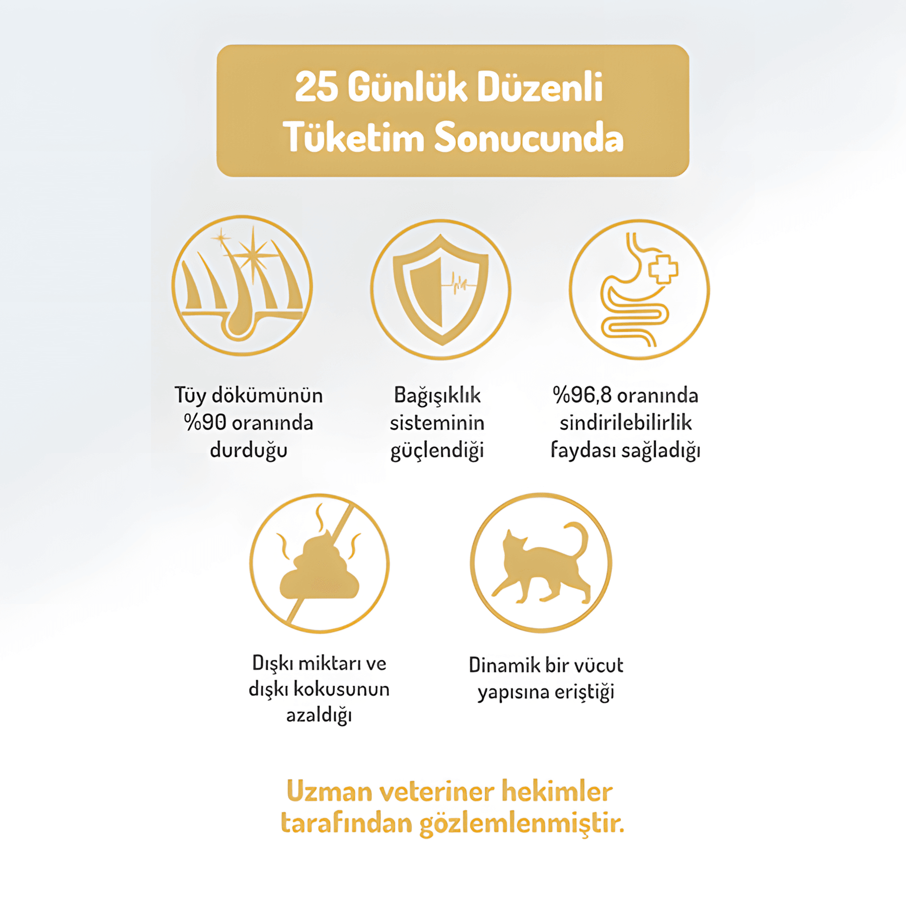 Felicia Az Tahıllı Kuzu Etli Hypoallergenic Kolajenli Yetişkin Kedi Maması 2Kg