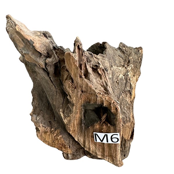 Medium 6