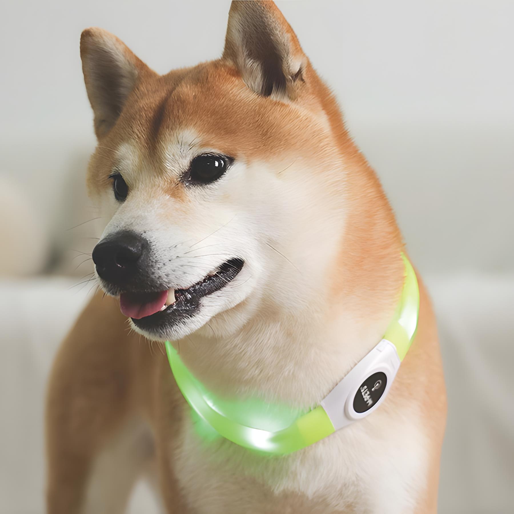 M-Pets Flash Ledli Boyun Tasması Neon Yeşil S