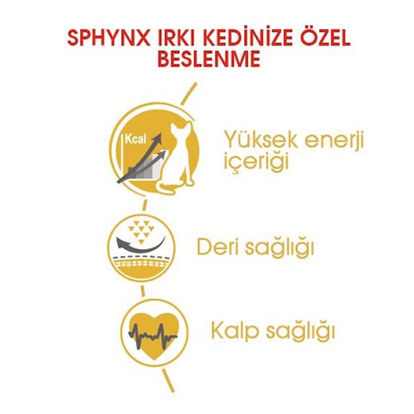 Royal Canin Sphynx Yetişkin Kedi Maması 2 Kg