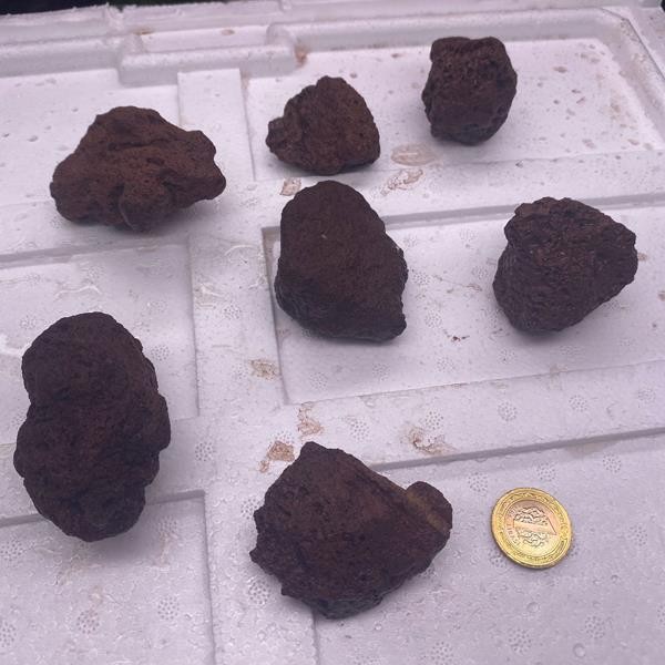 Akvaryum İçin Doğal Lav Taşı 5-15 Cm 1 Kg