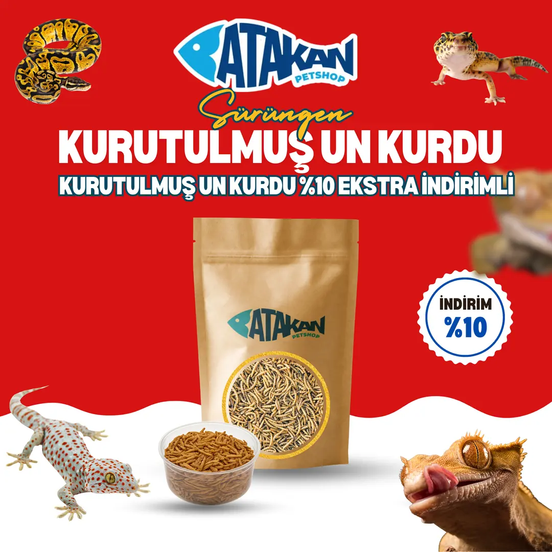 Kurutulmuş Un Kurdu Kampanya