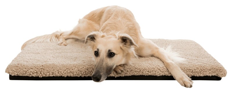 Trixie Köpek Yatağı, Ortopedik, İnce, 100x70cm, Bej