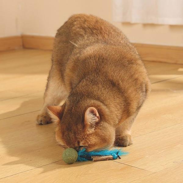 M-Pets Charmy Bugbear Catnipli Kedi Oyuncağı Mavi