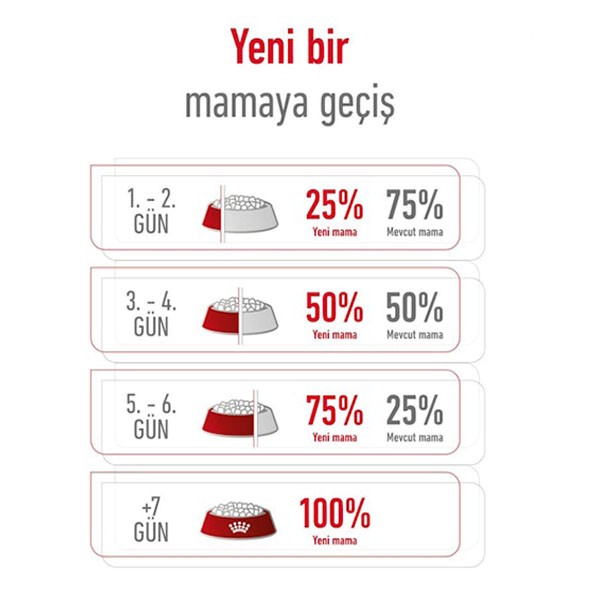 Royal Canin Mini Adult +8 Küçük Irk Yaşlı Köpek Maması 2 Kg