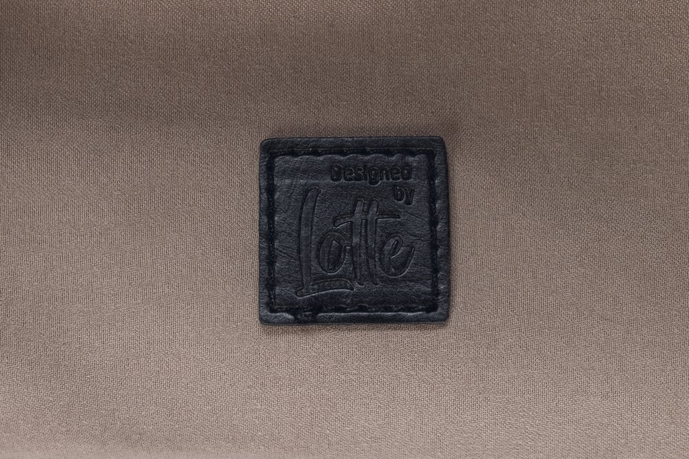 Beeztees DBL Köpek Taşıma Çantası, Yıkanabilir, 6,5Kg'ye kadar, Bej, 48x23x33cm