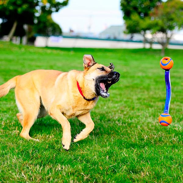 Chuckit Ultra Duo Tug Köpek Çekiştirme Oyun Topu Küçük Boy 2li