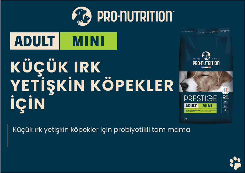 Pro Nutrition Prestige Adult Mini Yetişkin Köpek Maması 3Kg