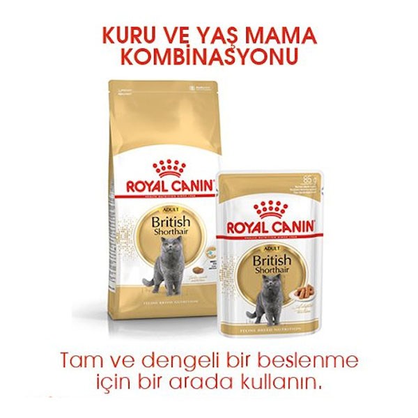 Royal Canin British Shorthair Yetişkin Kedi Maması 2 Kg