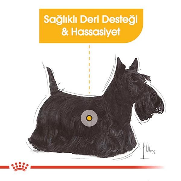 Royal Canin Dermacomfort Yetişkin Köpek Konservesi 85gr