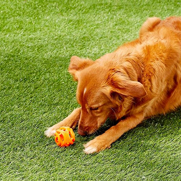 Chuckit Air Fetch Ball Köpek Oyun Topu Orta Boy