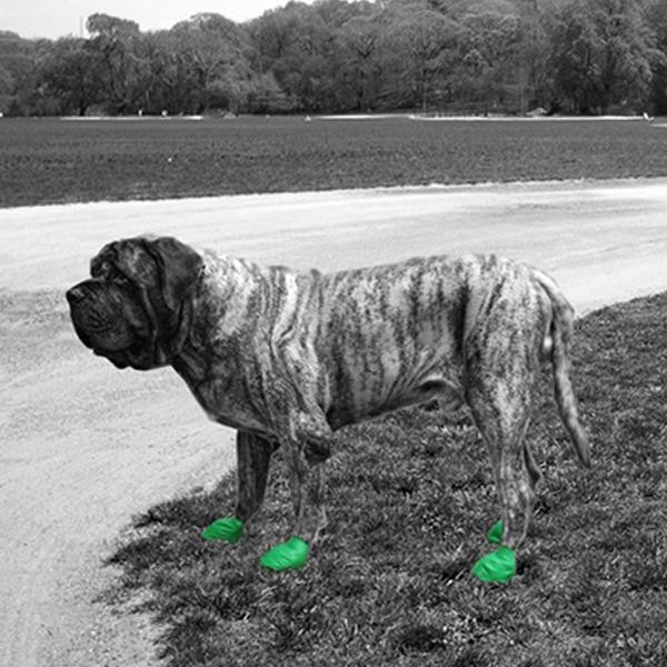 Pawz Köpek Galoşu Yeşil XL