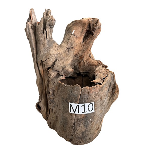 Medium 10