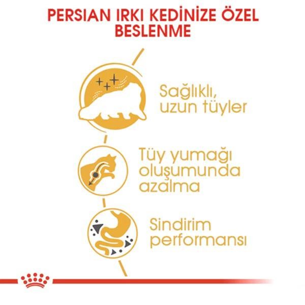 Royal Canin Persian Adult Yetişkin Kedi Maması 4 Kg