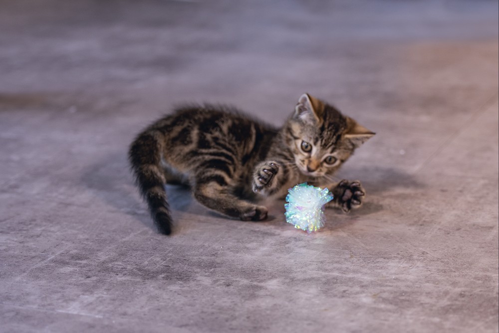 Beeztees Yavru Kedi Oyuncağı, Hışırtılı Top, 4 Adet, 5cm