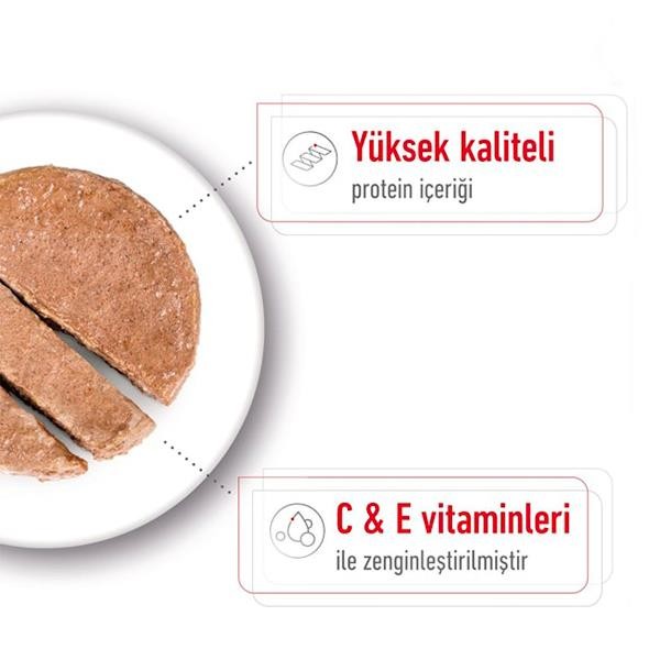 Royal Canin Küçük Irk Konserve Köpek Maması 195gr 12li Paket