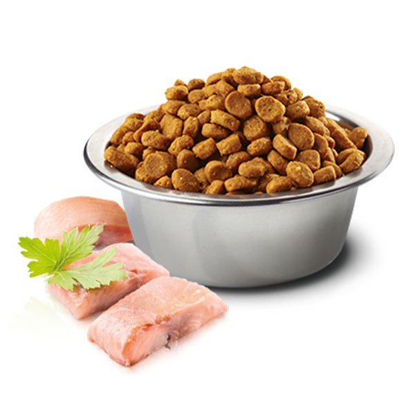 ND Ocean Ringa Balığı Portakallı Tahılsız Yetişkin Kedi Maması 5 Kg