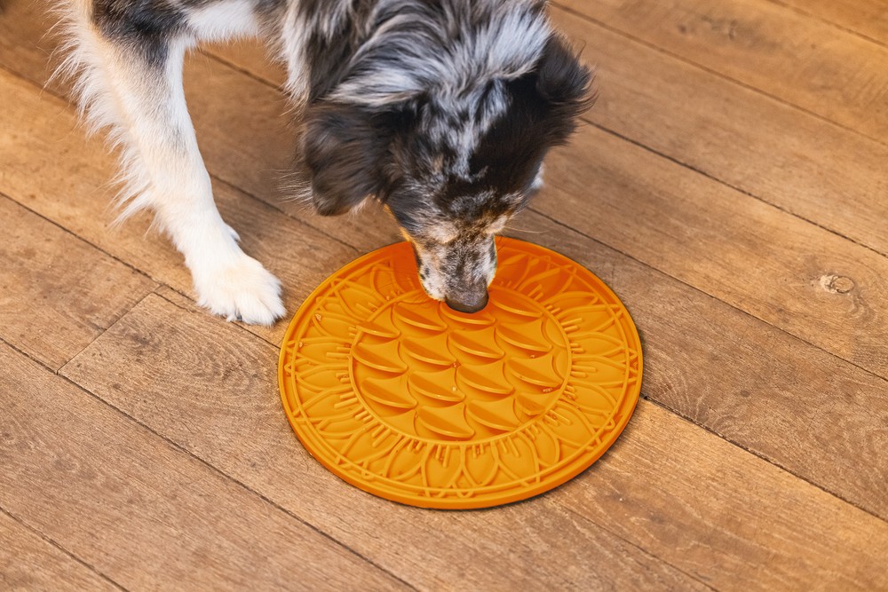 Beeztees Yavru Köpek Mama Yeme Oyuncağı, Daire Şeklinde, Silikon, Turuncu, 30cm