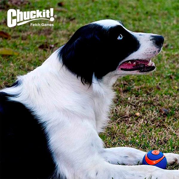 Chuckit Ultra Squeaker Sesli Köpek Oyun Topu Orta Boy