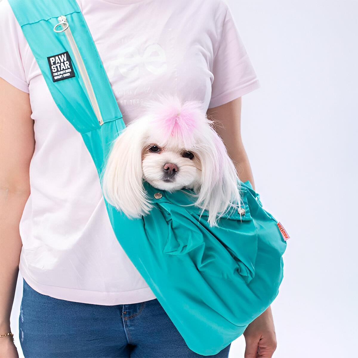 Pawstar Crossbody Kedi Köpek Taşıma Çantası Mint