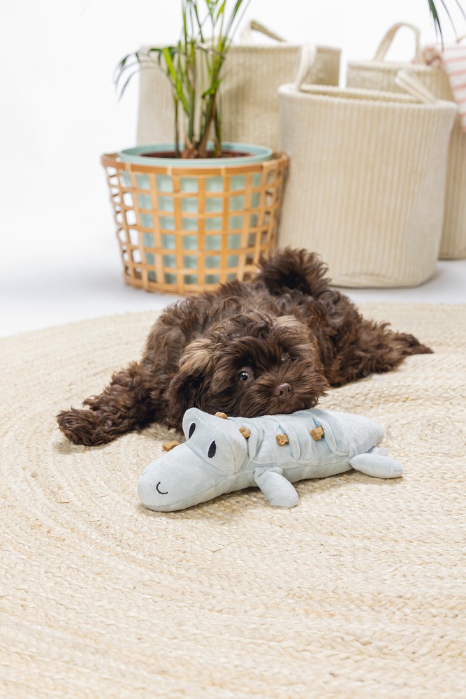 Beeztees Yavru Köpek Oyuncağı, Krokodil, Peluş, Yeşil, 32x18x8cm